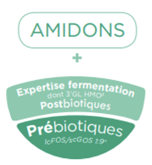 Balle Amidons Galliagest Premium