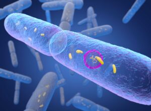 Masterclass. Microbiote intestinal : un organe clé pour la santé - Plénière